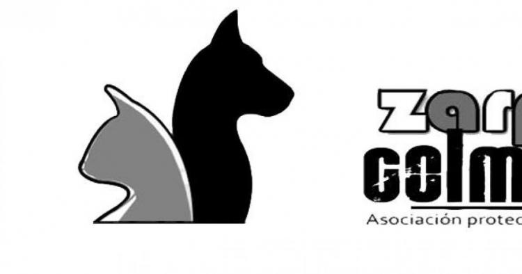 Protectora de animales Zarpas y Colmillos