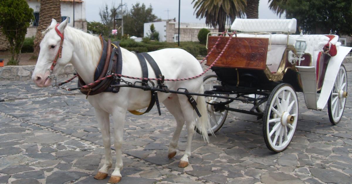 No mas calandrias con caballos, ahora calandrias eléctricas