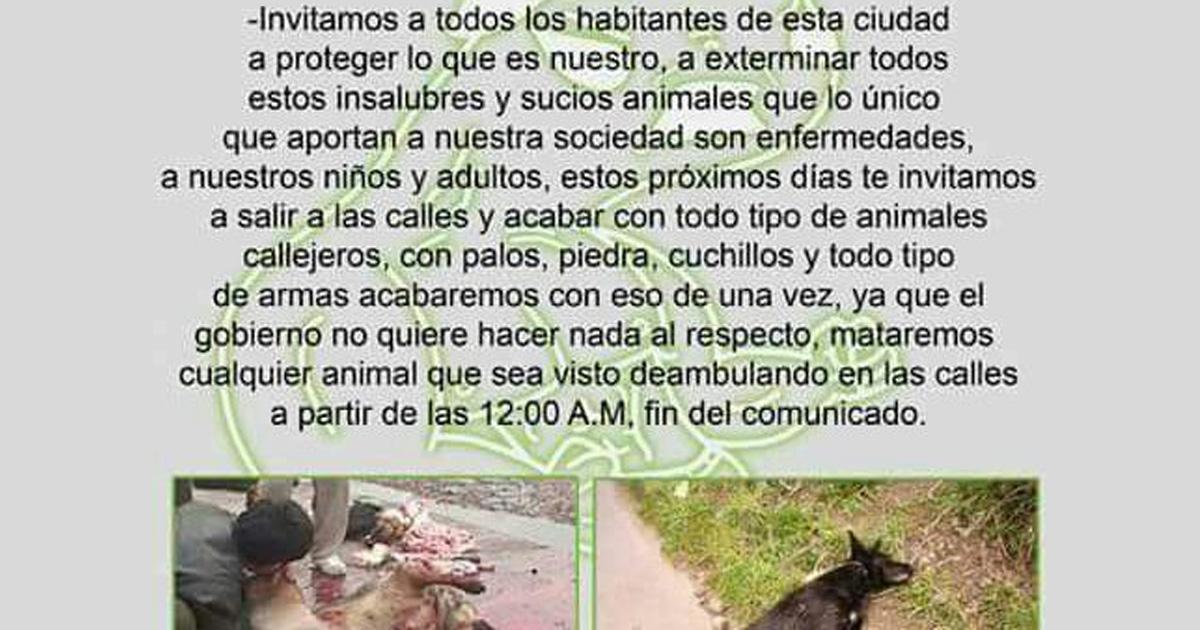 Evitar notas que insten al maltrato animal