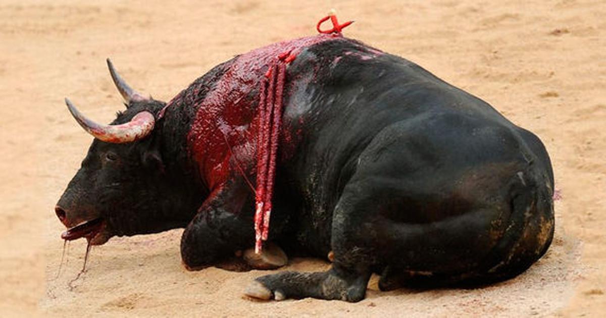 Acabar con las corridas de toros