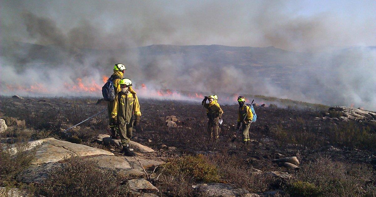 Abolition rétroactive de la Loi sur les forêts