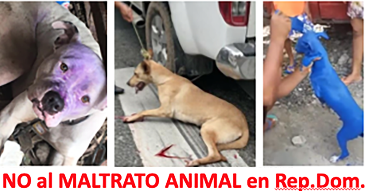 Que se cumpla la Ley 248-12 de Protección Animal en República Dominicana!