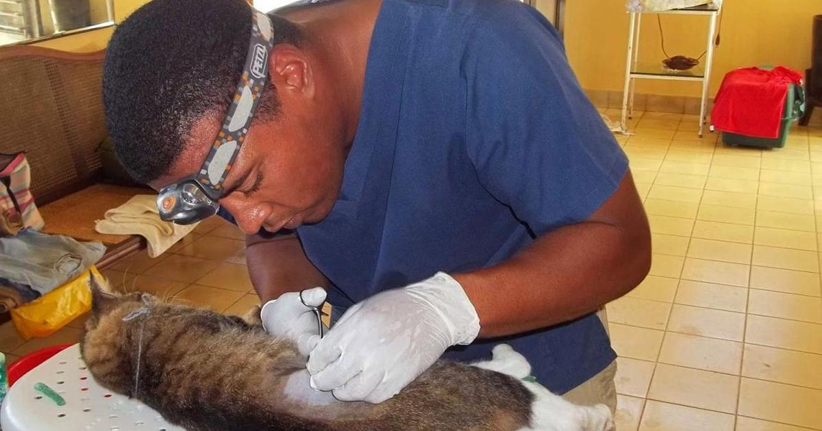 Permitan que los veterinarios puedan continuar protegiendo la salud de las mascotas o animales afectivos que nos acompañan