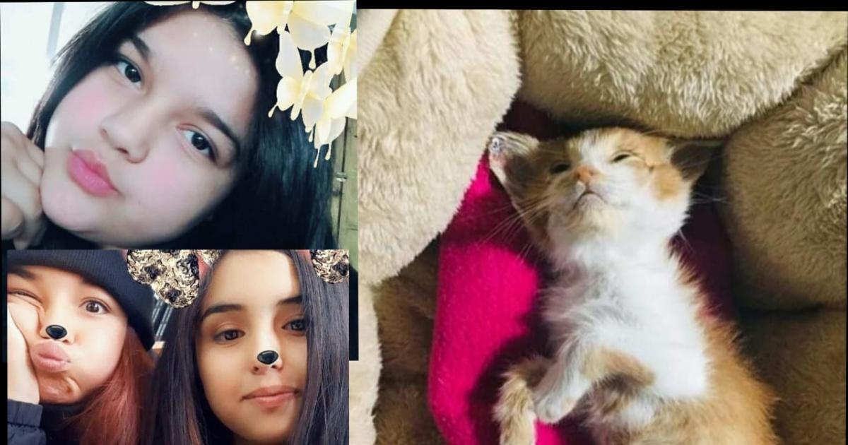 Castigo a las asesinas de la gatita Emma