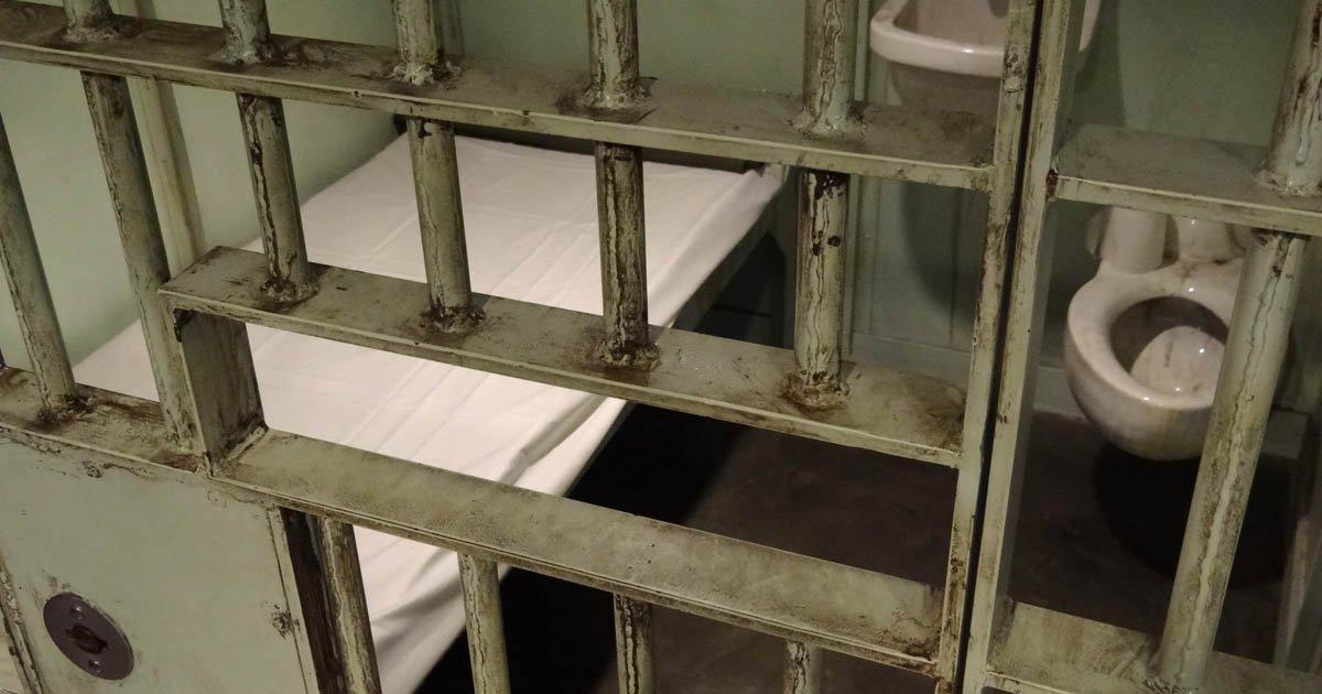 Condenas de cárcel efectivas por maltrato animal con muerte