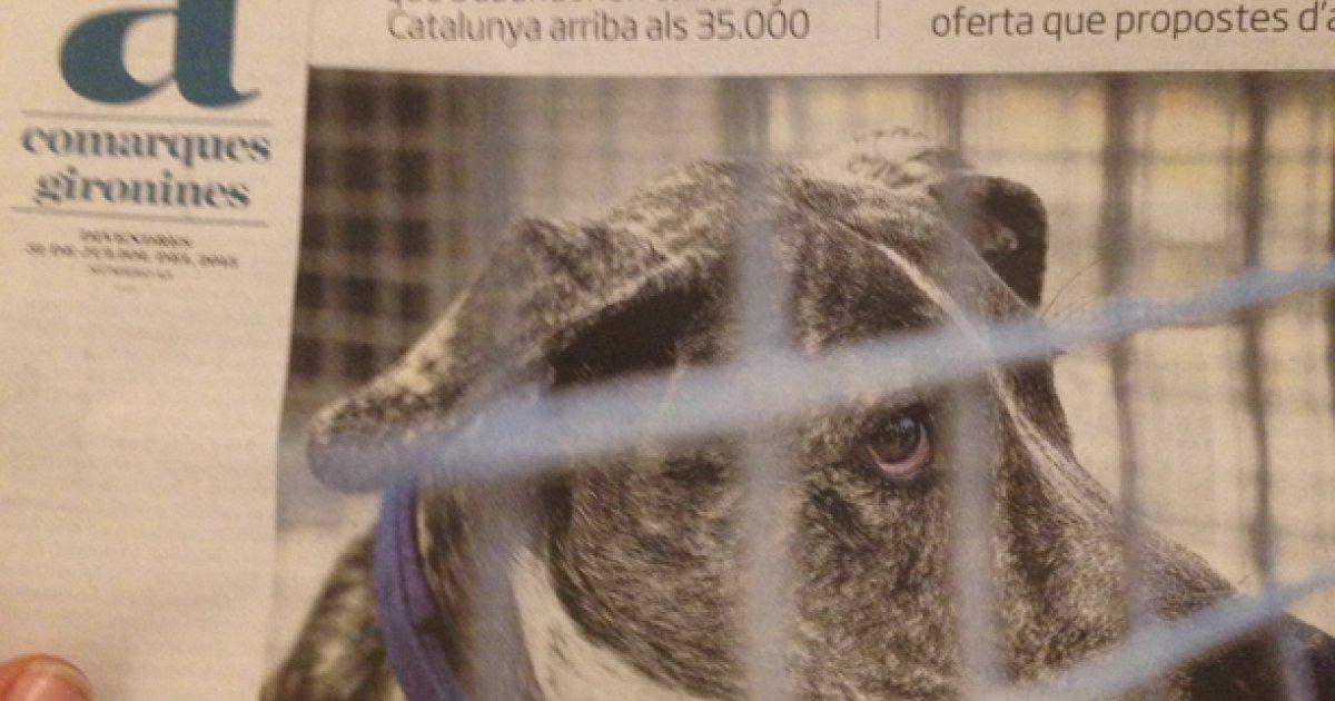 Volem un refugi digne i una bona gestió del servei