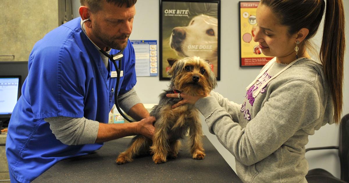 Apoyen mi petición por un Hospital Veterinario en cada provincia de Argentina