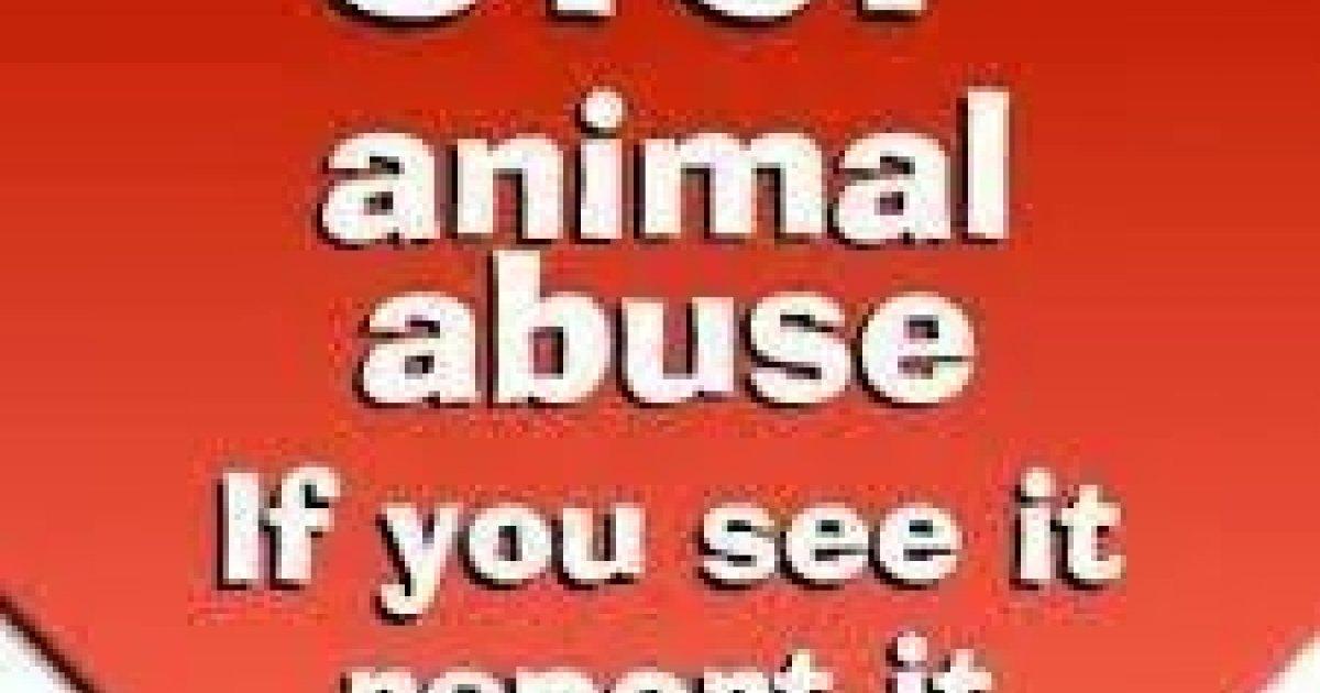 Enact a Federal List of Animal Abusers