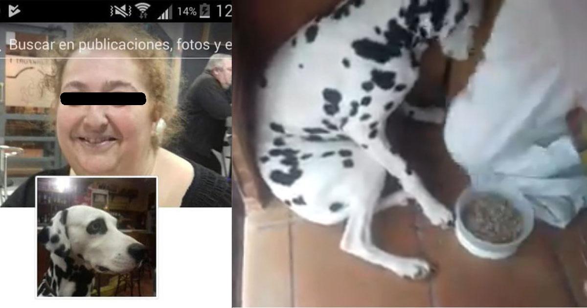 Que esta mujer vaya presa, no puede seguir maltratando animales!