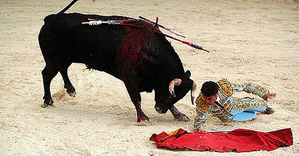 Ban against bullfighting