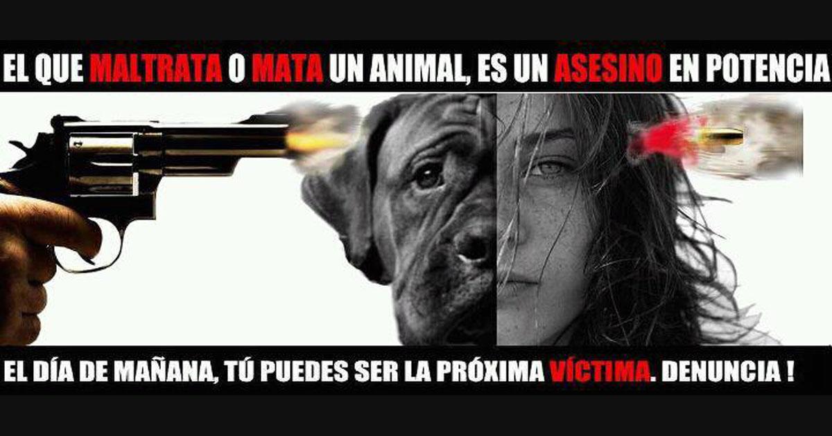 Cárcel para los asesinos de perros