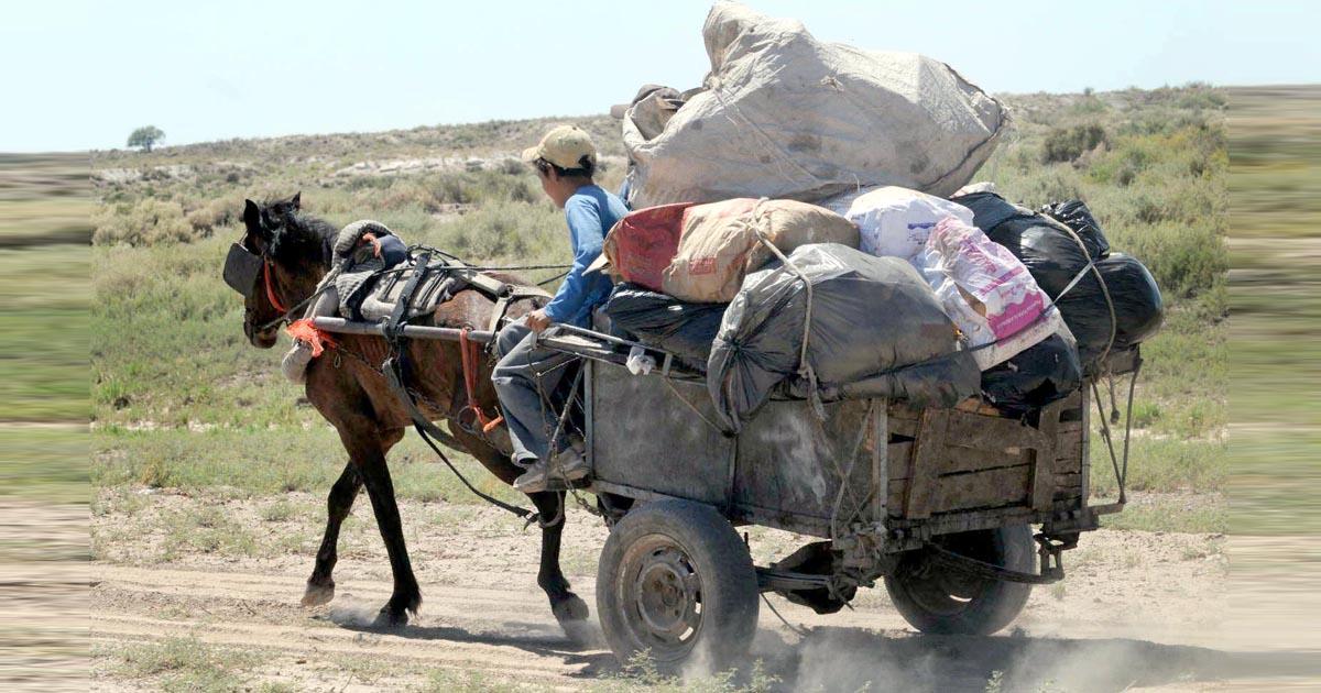 No permitan el maltrato animal, aumenten las penas y además sacarle los animales y prisión para los propietarios