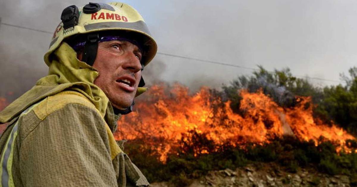 Creación de un cuerpo permanente de bomberos y brigadistas forestales