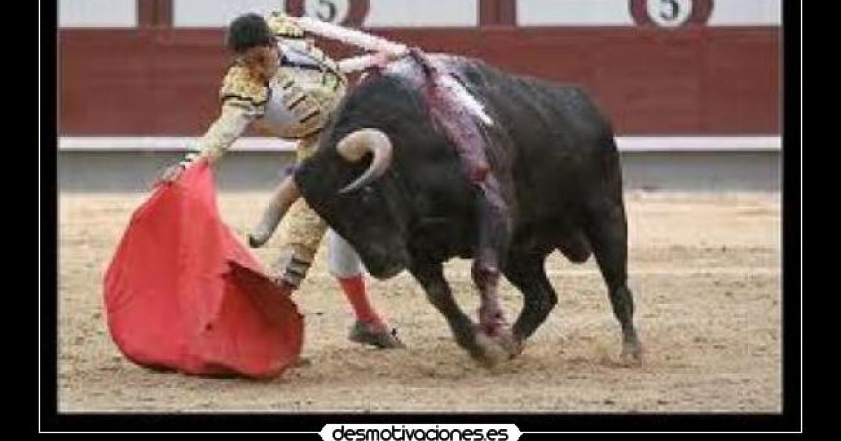 Abolir las corridas de toros