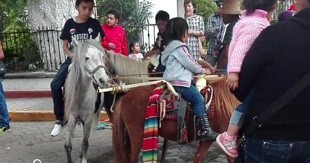 Rescatemos a los caballos del centro de Villa del Carbón