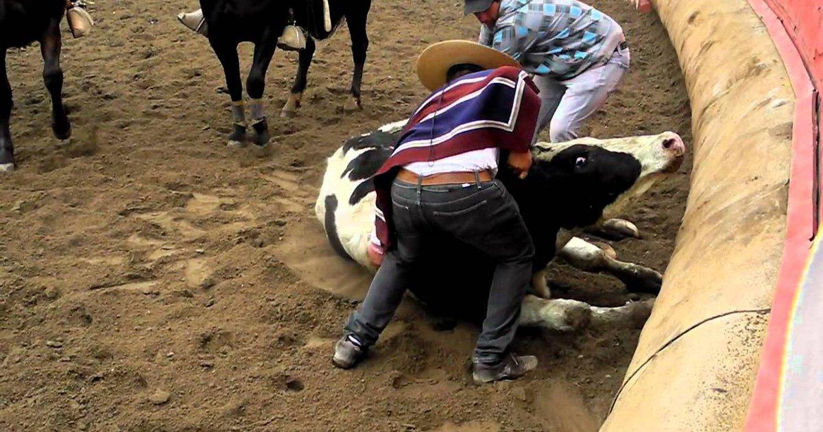 Creo que Deben Terminar con el "Rodeo en Chile"