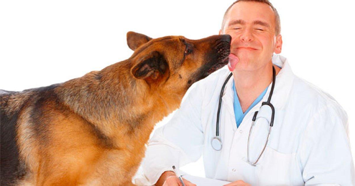 Hospital público veterinário para todos os animais