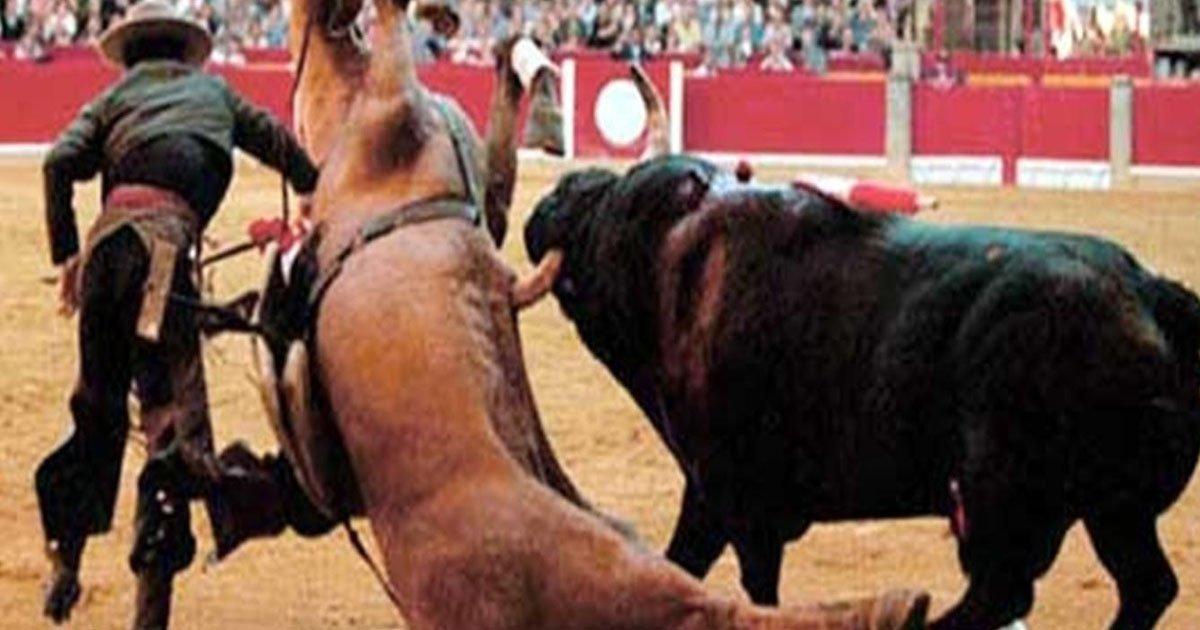 The European Parliament approved the elimination of subsidies to bullfighting. Victory!
