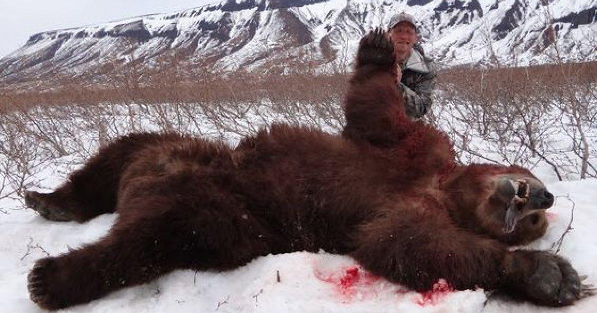 National Geographic Must Avoid Broadcast Programs of Animals Huntings