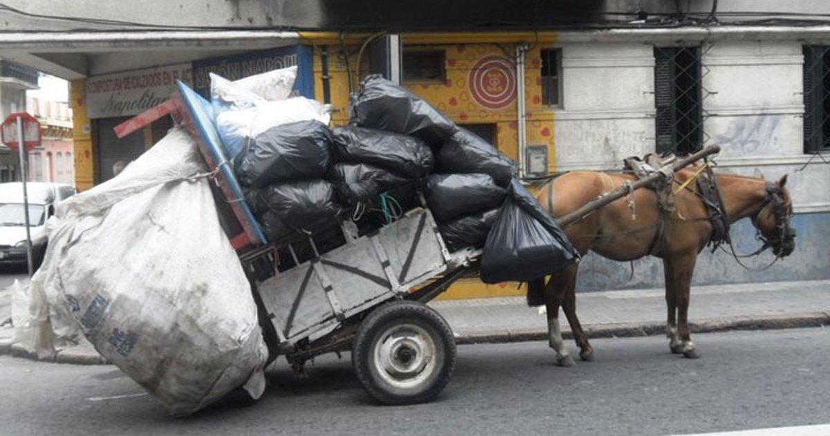 Basta de Maltrato a los Caballos