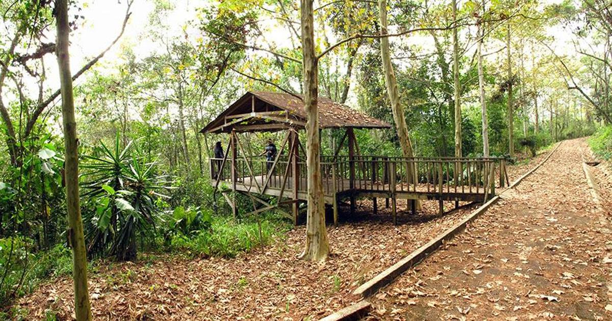 Salvemos al Parque El Haya de Xalapa, Veracruz