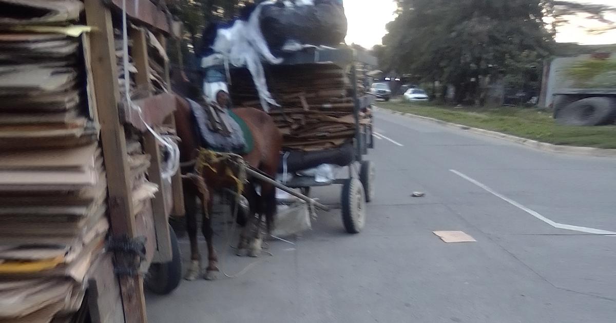 Prohibir las carretas de caballo