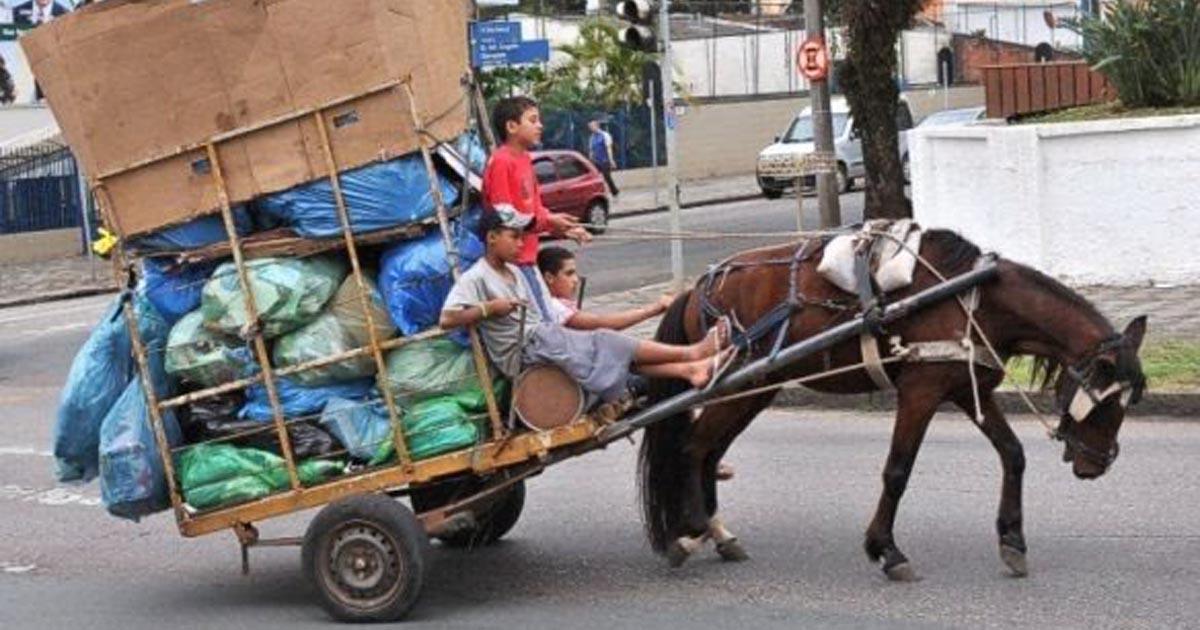 Acabar con el trabajo de caballos arrastrando carrozas