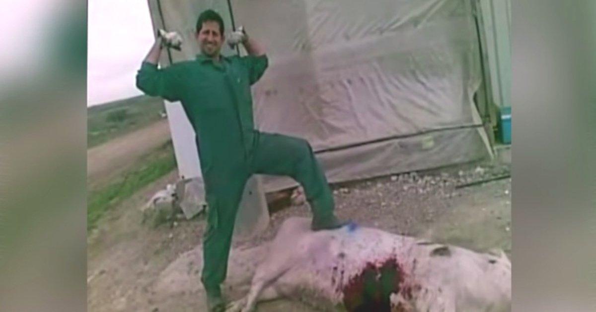 Cárcel para los torturadores y asesinos de animales 