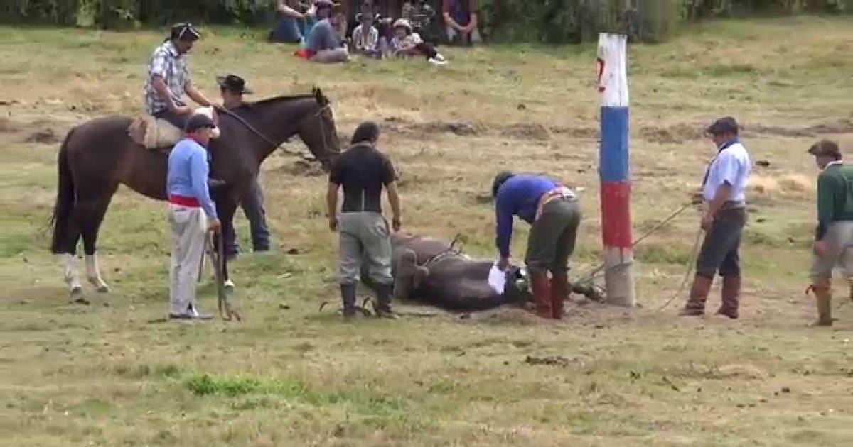 Suprimir las Jinetadas de la Patagonia Chilena