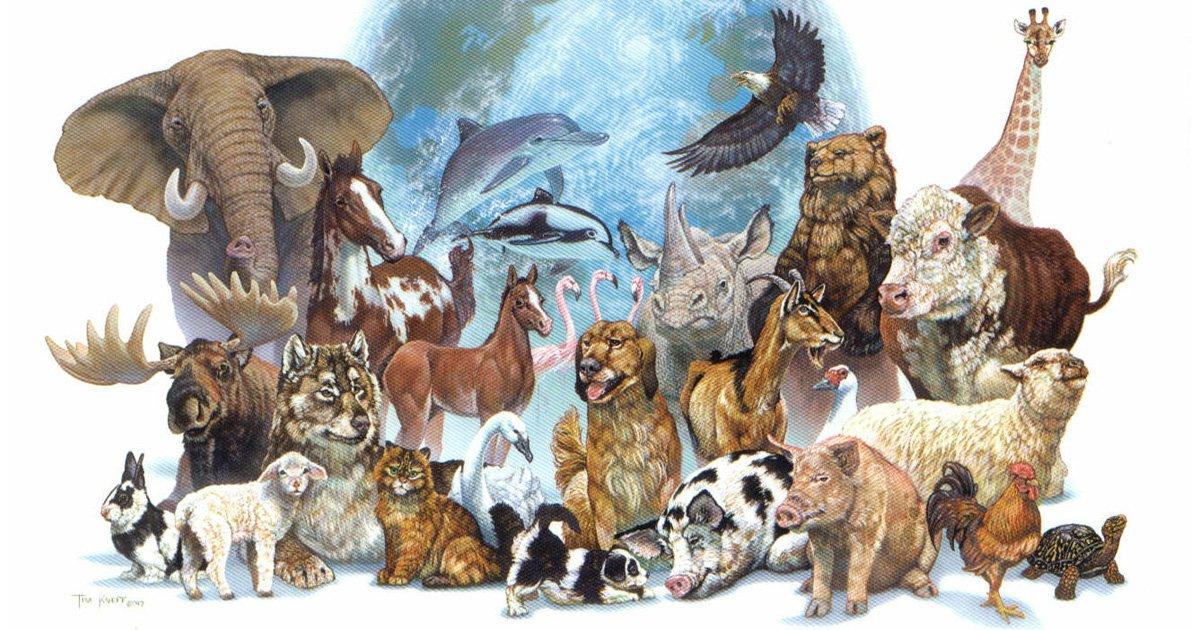 El estatus de patrimonio de la humanidad para los animales