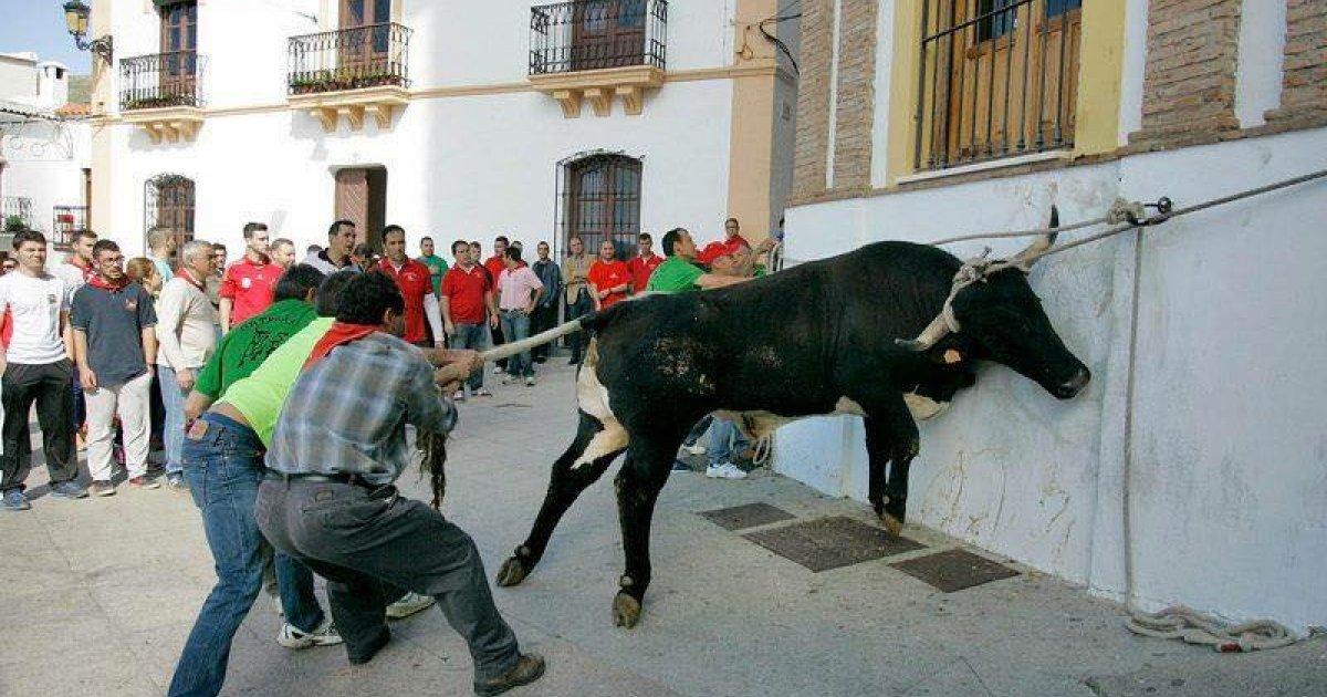 Stop this "fiesta" in Ohanes, Almeria