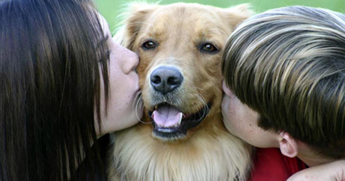 Incorporar en el Programa de la Asignatura de "Formación Ciudadana" la Tenencia Responsable de Mascotas