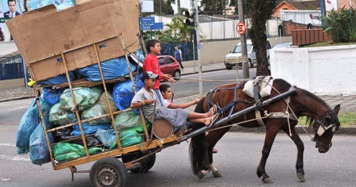 Acabar con el maltrato a los caballos