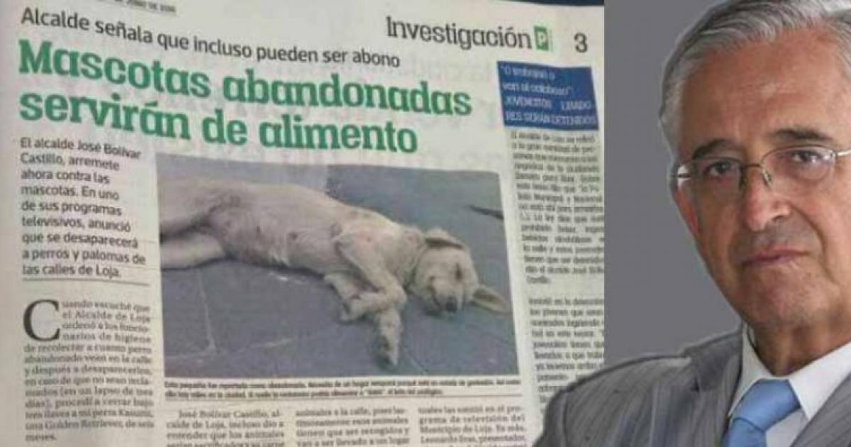 Salvemos a los perros de convertirse en el alimento de los leones del zoológico