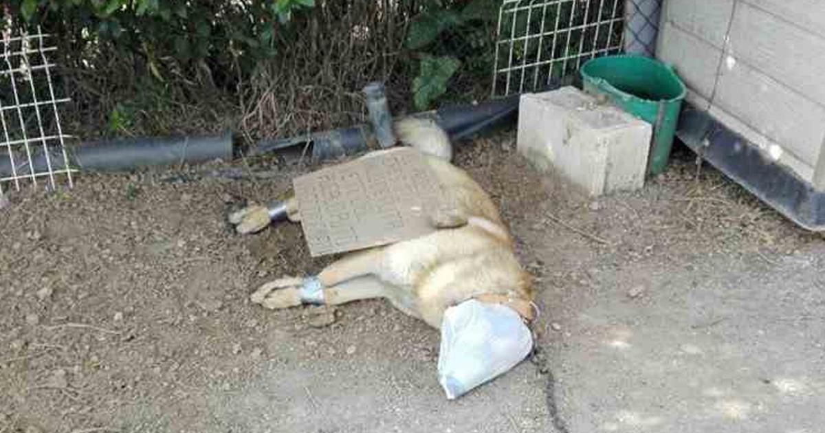 Encuentren a estos asesinos!