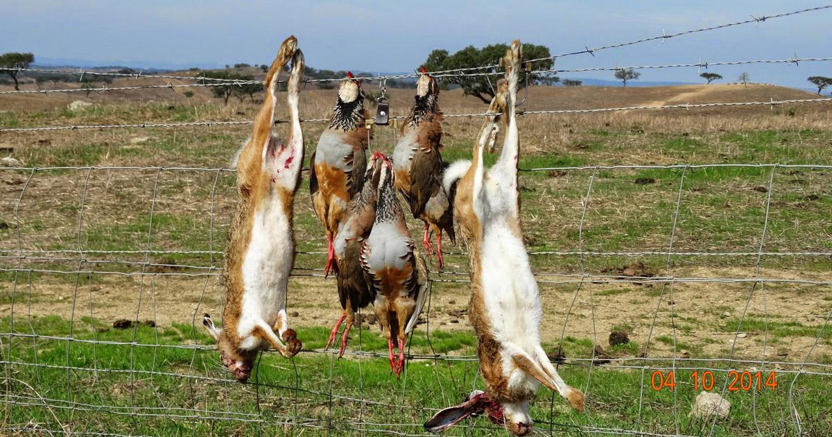 Prohibir la caza en Portugal