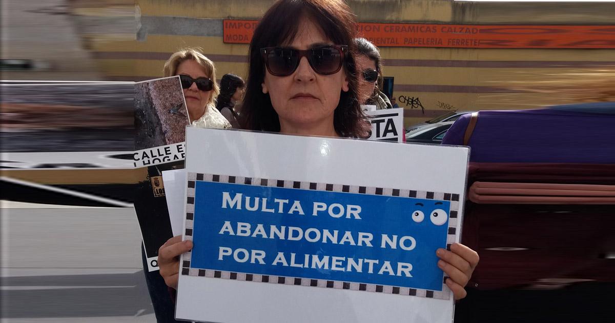 Quiten la multa a María Morillo por alimentar su colonia de gatos