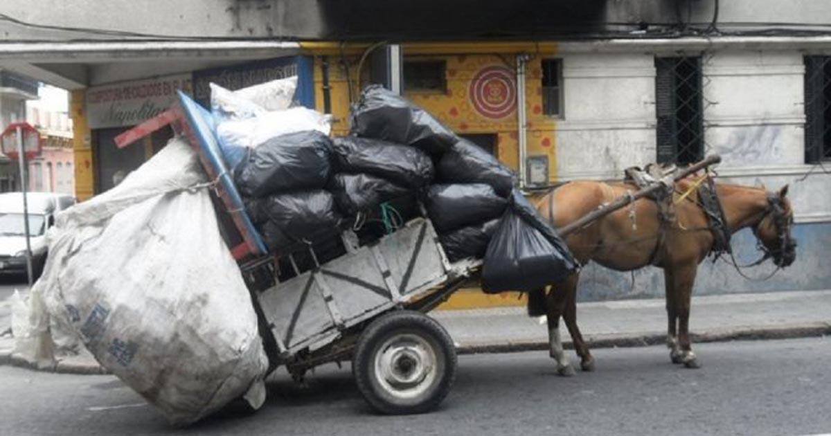 No a la tracción a sangre en Uruguay