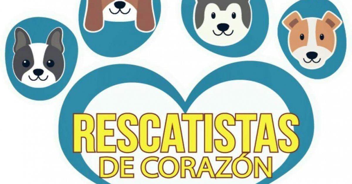 Apoyemos Al Centro De Rescate Animal En San Pedro Sula Y Construyamos Mas Centros Como Este