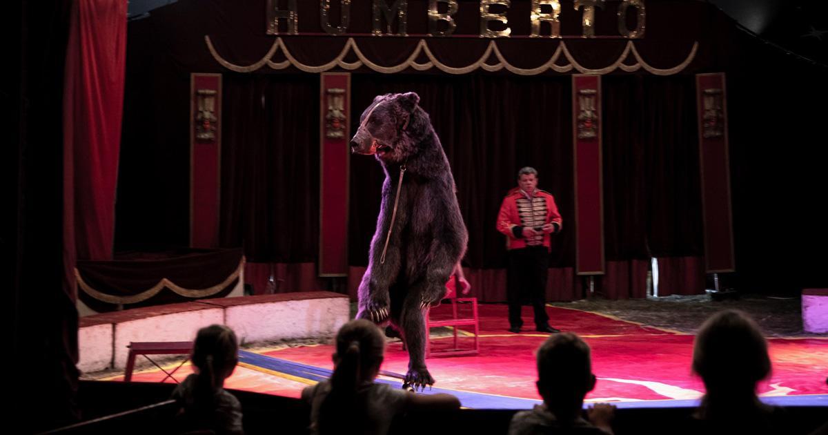 No more circuses with animals