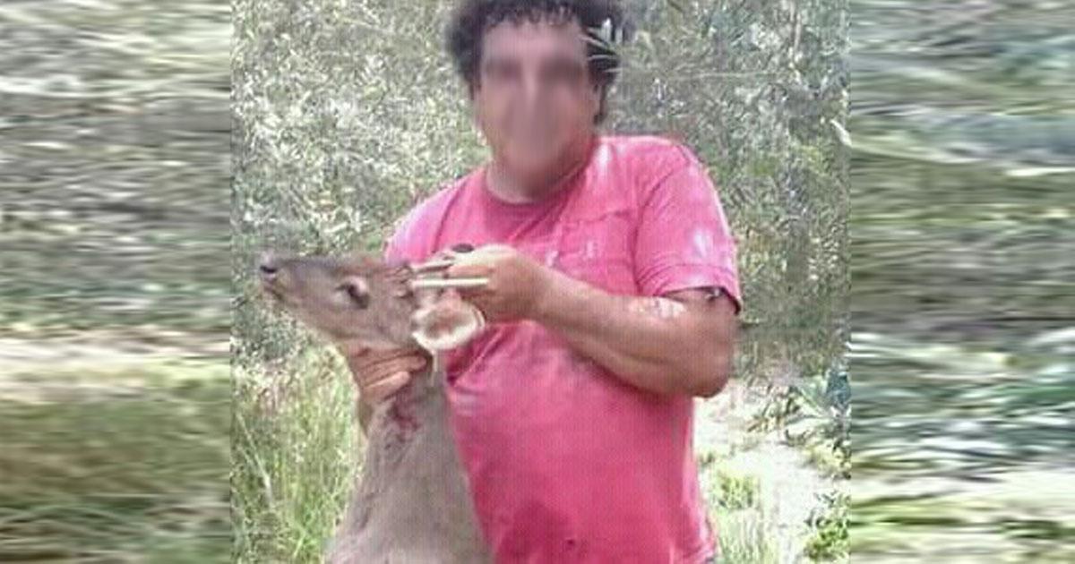 Prisión al asesino de pumas y fauna silvestre 