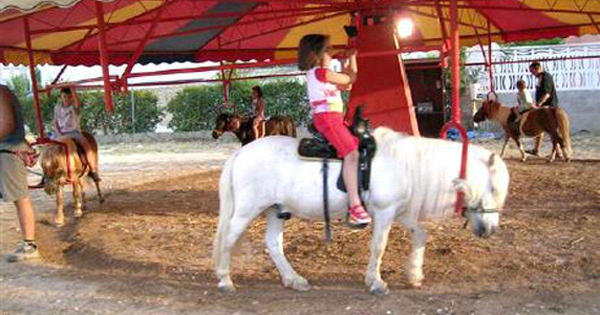 Interdisez Activités impliquant l'utilisation d'animaux. Exemple: Carrousel de poneys pour les enfants