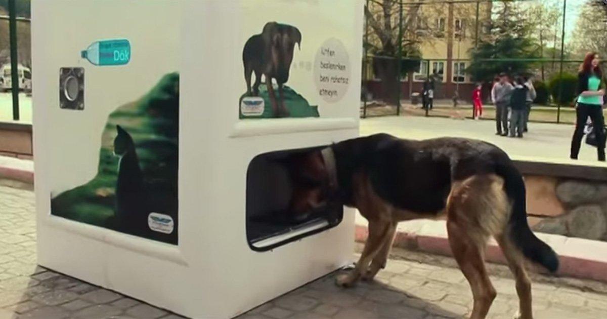 Salvemos los Animalitos de los Parques