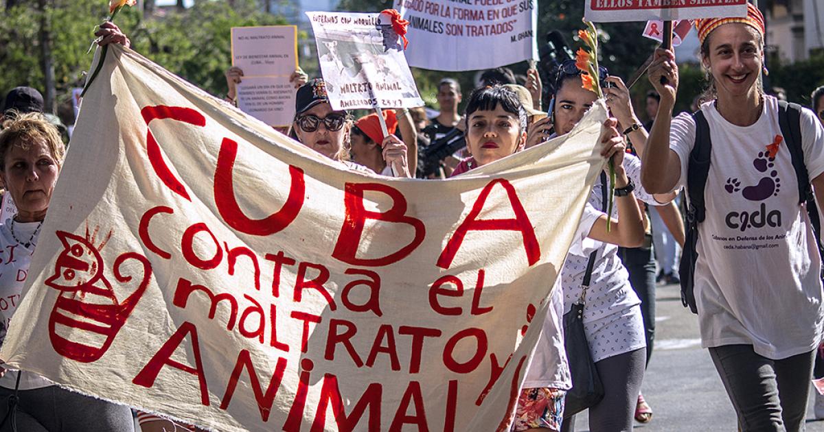 Conversión del Decreto-Ley 31 de Bienestar Animal a Ley del Código Penal cubano 