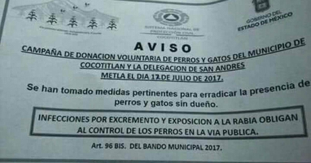 Protección a los animales y castigo a los municipios que están solicitando lleven animales a sacrificio