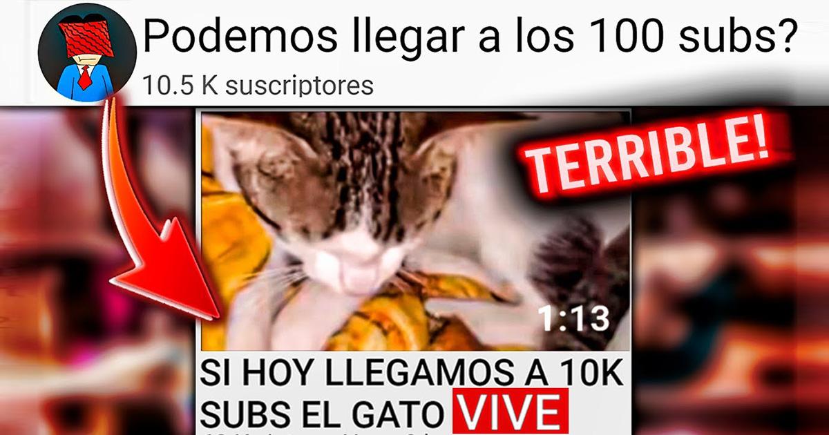 O YouTube deve fechar este canal por abuso de animais