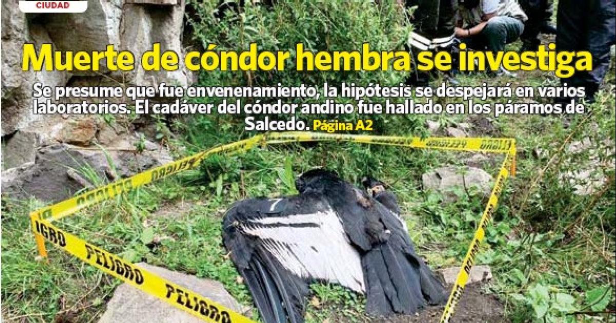 Prender os responsáveis pela morte de um condor
