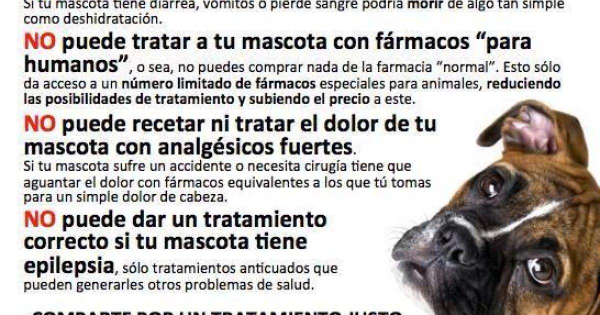 Tratamientos justos y dignos para nuestros animales y el apoyo a médicos veterinarios