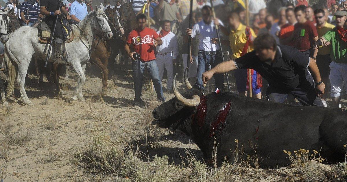 Terminemos con el Toro de la Vega 