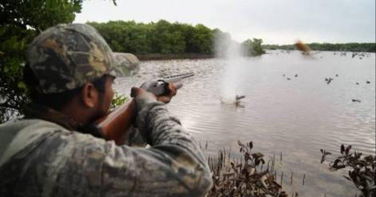 Proibir a caça no Mexico!